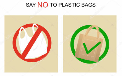 Plastic Bag Bans and what they mean