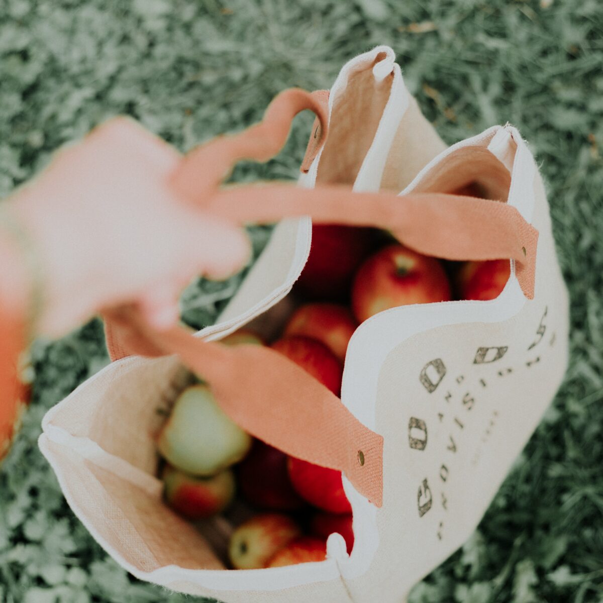 Reusable ziplock bags made in usa cheap
