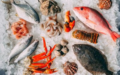 Choosing The Best Seafood Bags