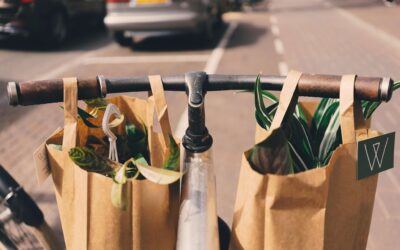 7 Smart Reasons Retailers Are Switching to Paper Bags